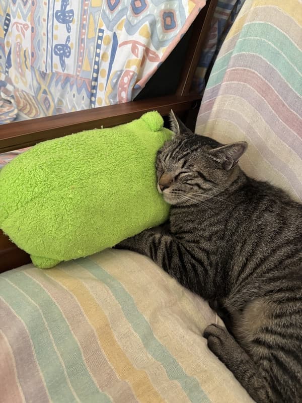 そら